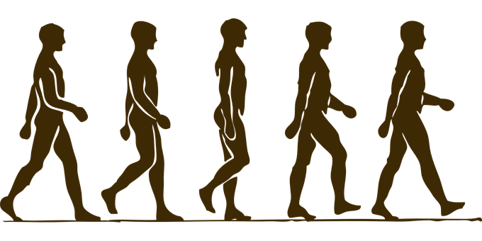 Evolutionof Man Silhouette PNG image