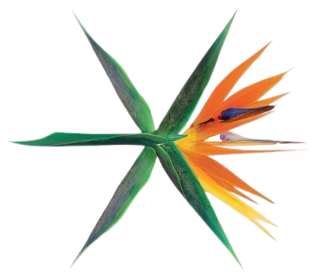 Exo Group Logo Stylized Flower PNG image