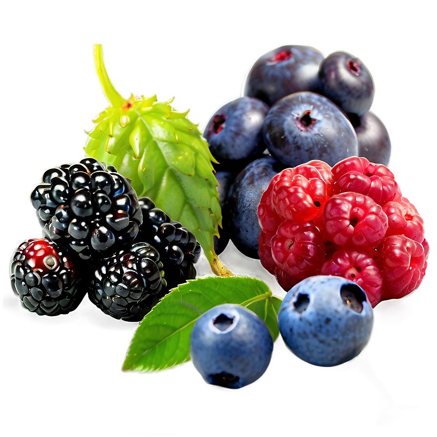 Exotic Berries Variety Png 06122024 PNG image