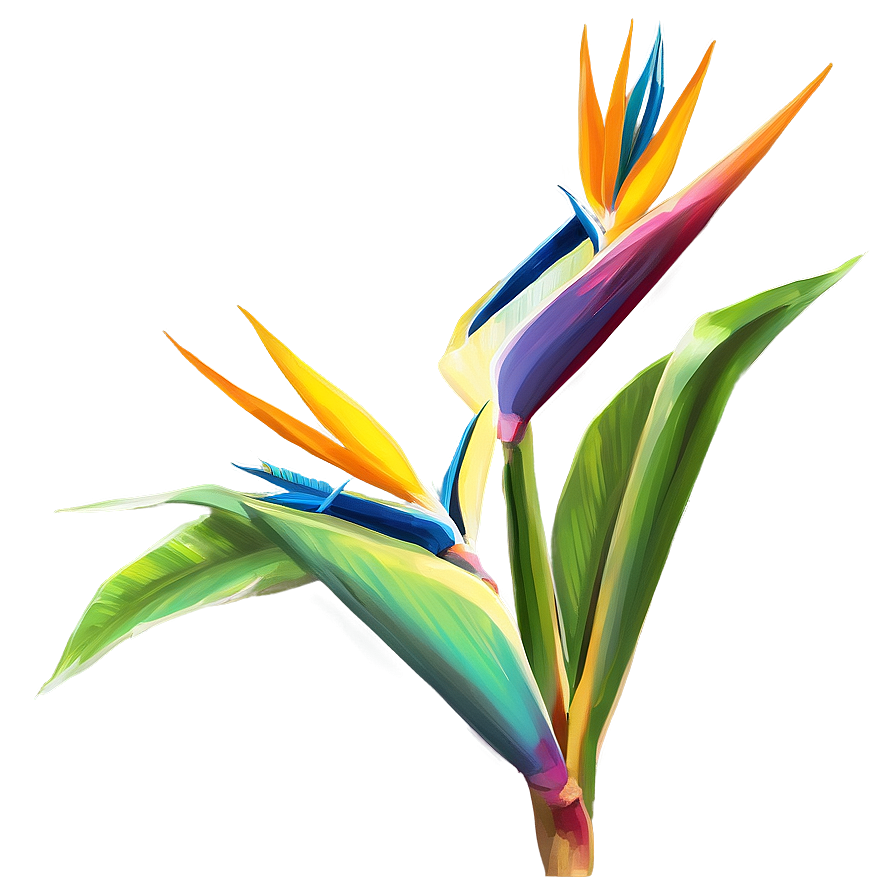 Exotic Bird Of Paradise Plant Png Syc PNG image