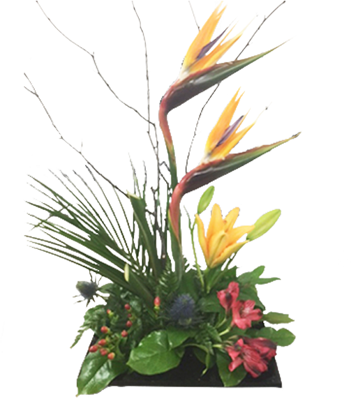 Exotic Birdof Paradise Floral Arrangement PNG image