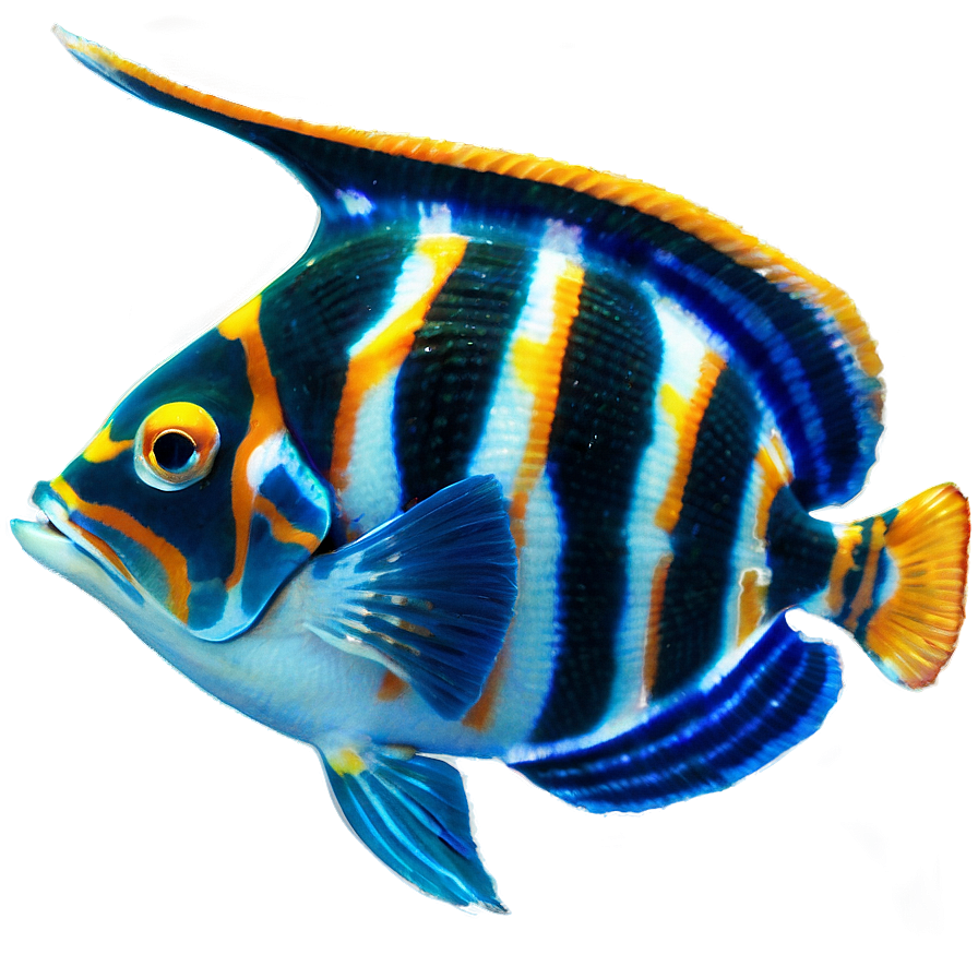 Exotic Fish Species Png 06132024 PNG image