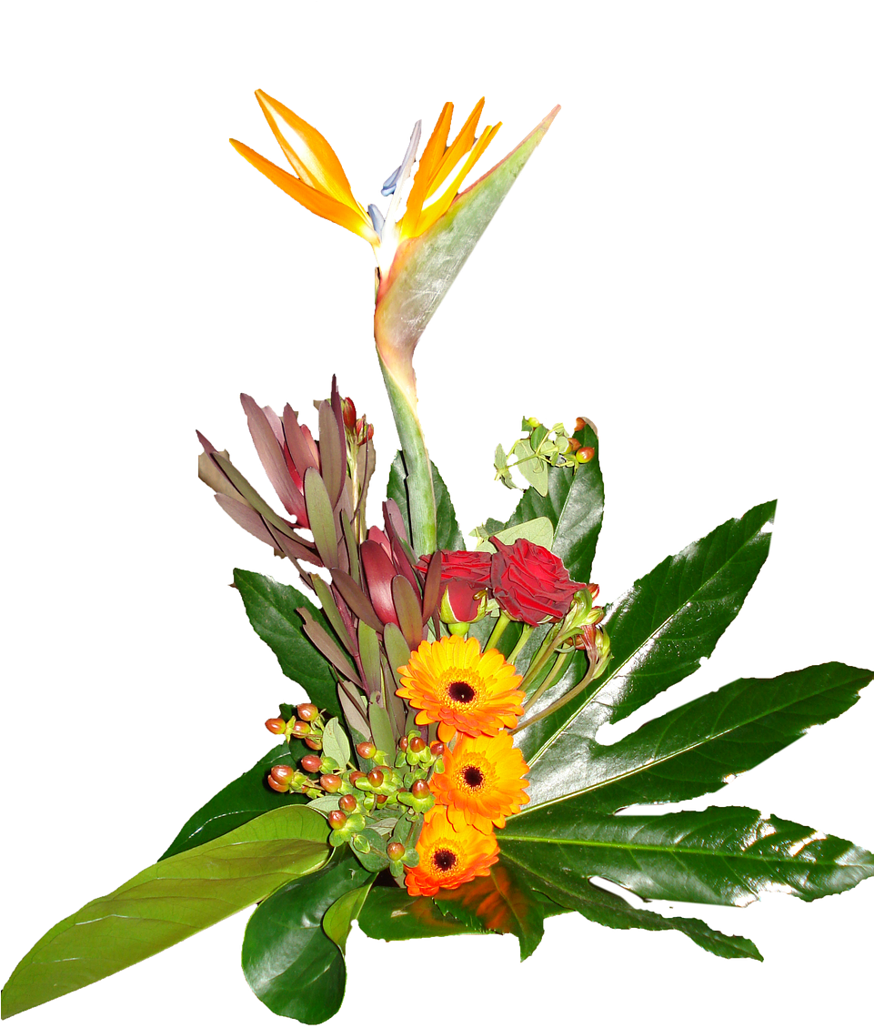 Exotic_ Floral_ Arrangement.png PNG image