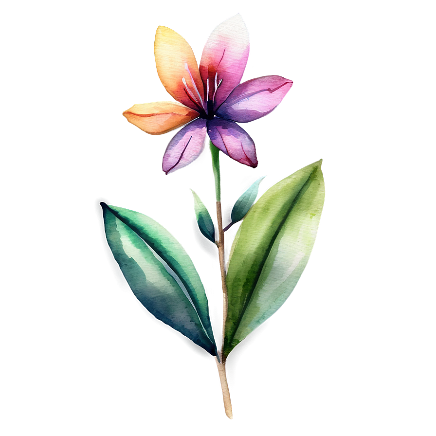 Exotic Flower Watercolor Png Bem PNG image