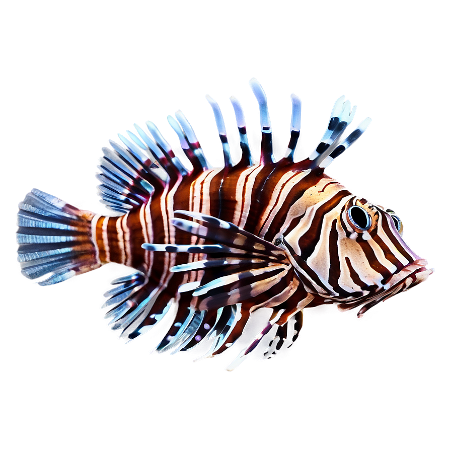 Exotic Lionfish Png 58 PNG image