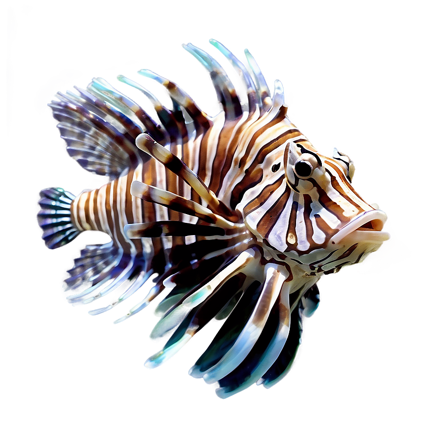 Exotic Lionfish Png Huk92 PNG image