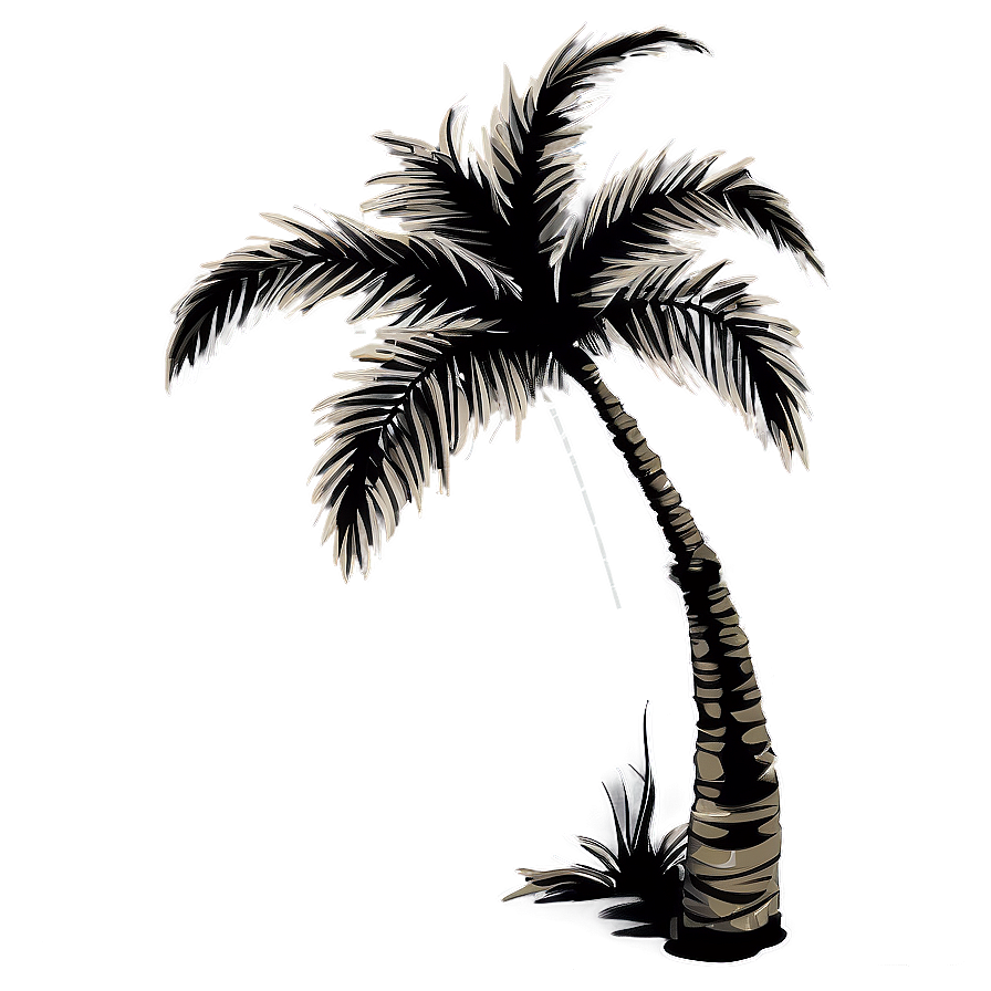 Exotic Palm Tree Silhouette Png 4 PNG image