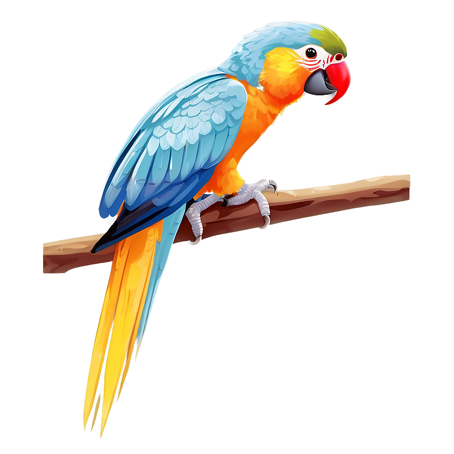 Exotic Parrot Species Png Pqi PNG image