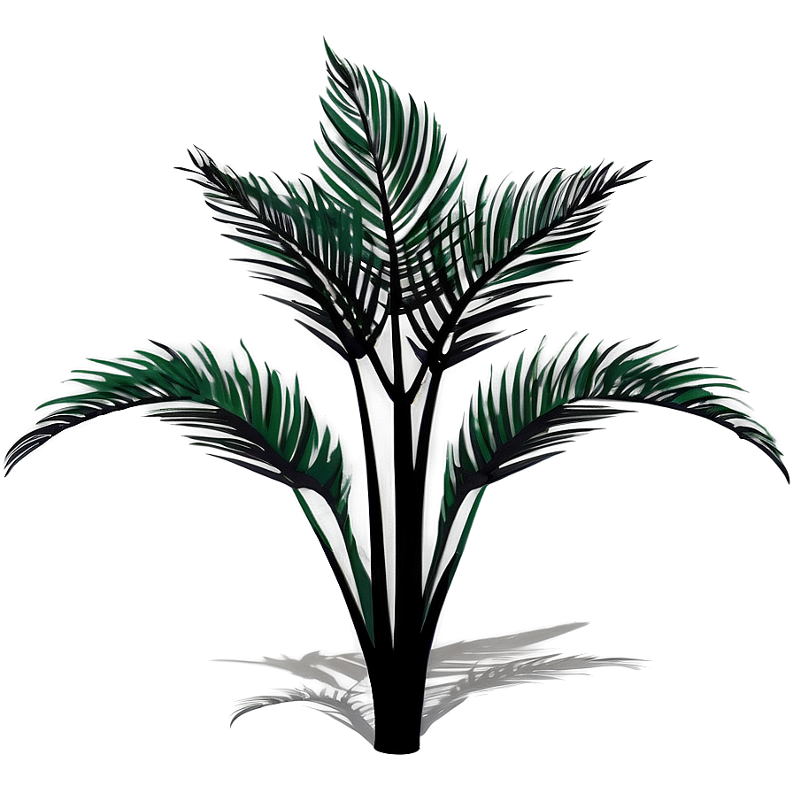 Exotic Plant Shadow Clipart Png Scd39 PNG image