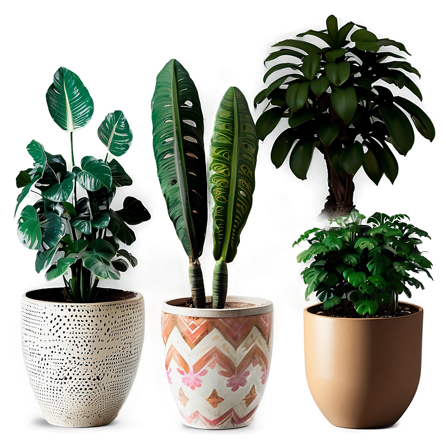 Exotic Potted Plants Collection Png 72 PNG image