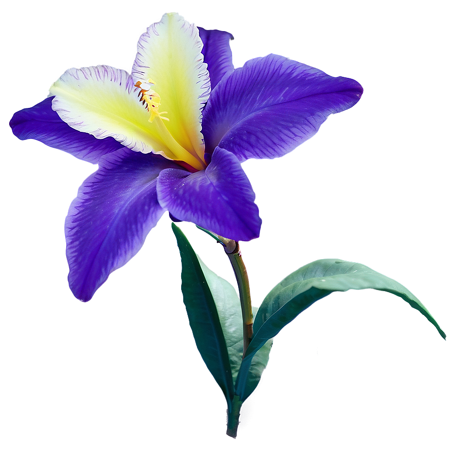 Exotic Purple Bloom Png Yel PNG image