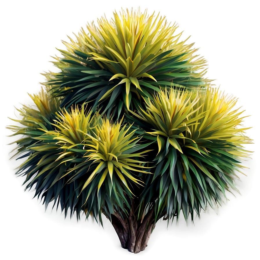 Exotic Shrub Png Hwh11 PNG image