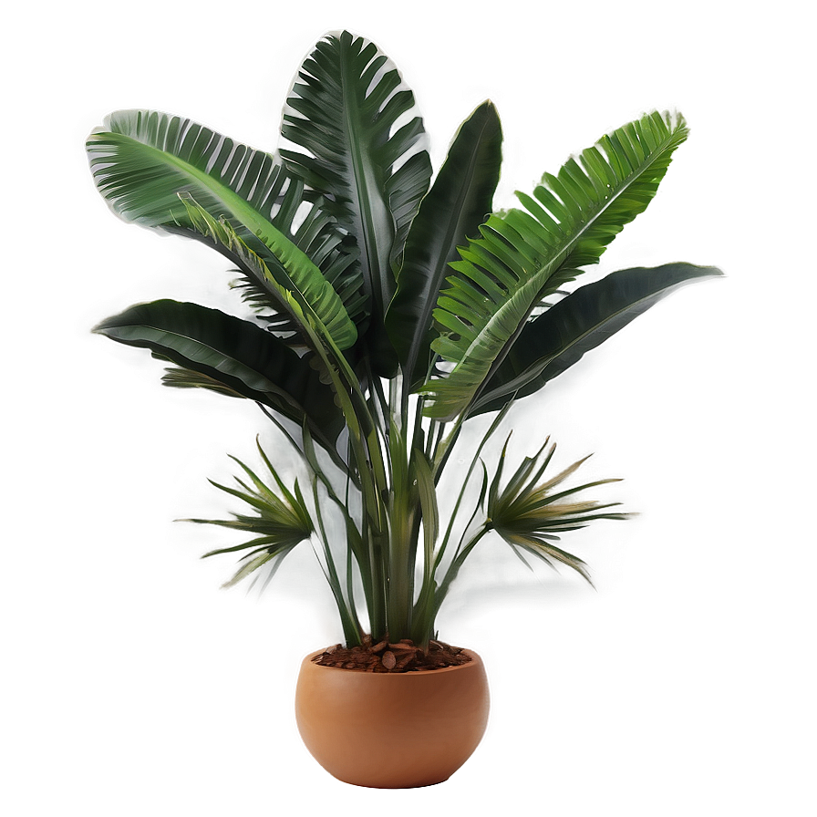 Exotic Tropical Plant Png 69 PNG image