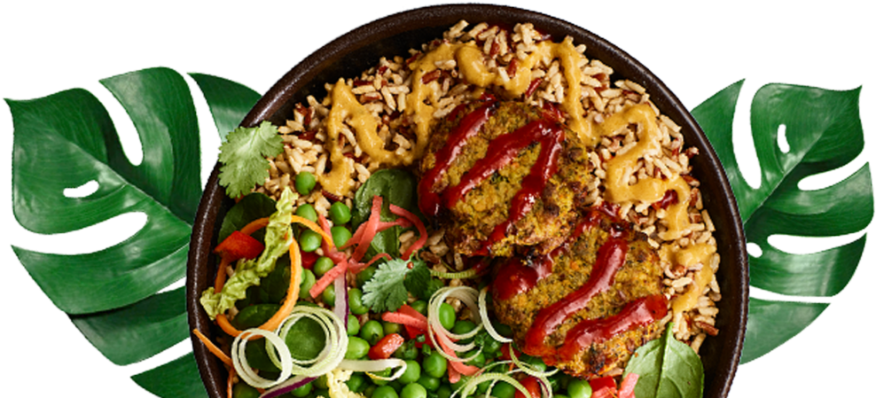 Exotic Vegetable Rice Bowl PNG image