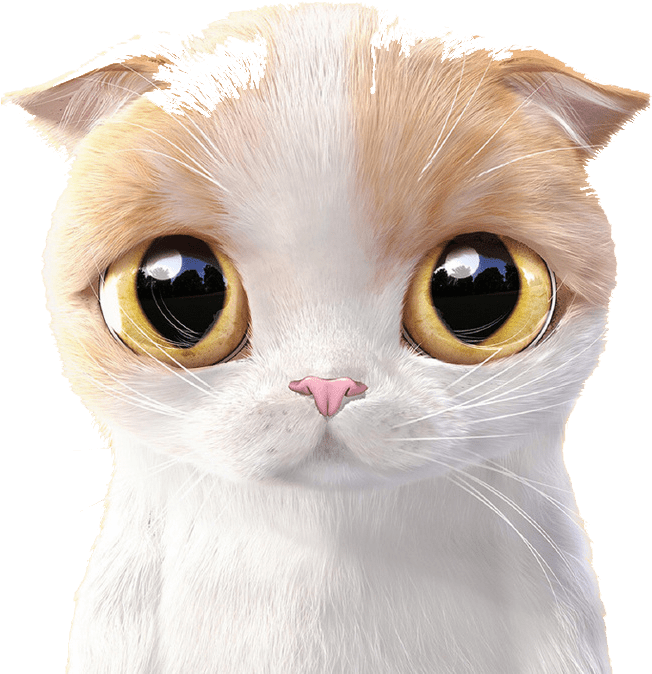 Expressive Cartoon Cat Face PNG image