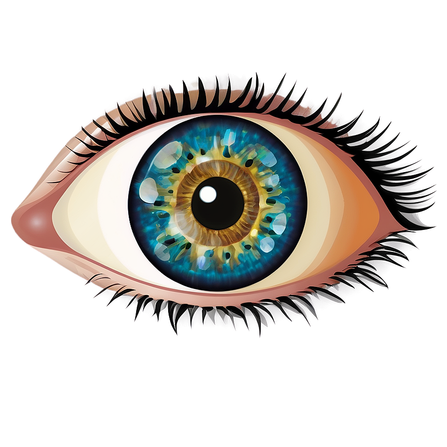 Eye Illustration Transparent Png 05262024 PNG image