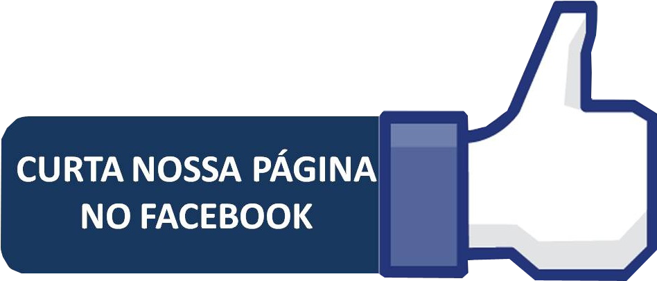 Facebook Like Button Brazilian Portuguese PNG image