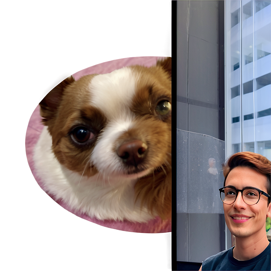 Facetime Call With Pets Png Xej PNG image