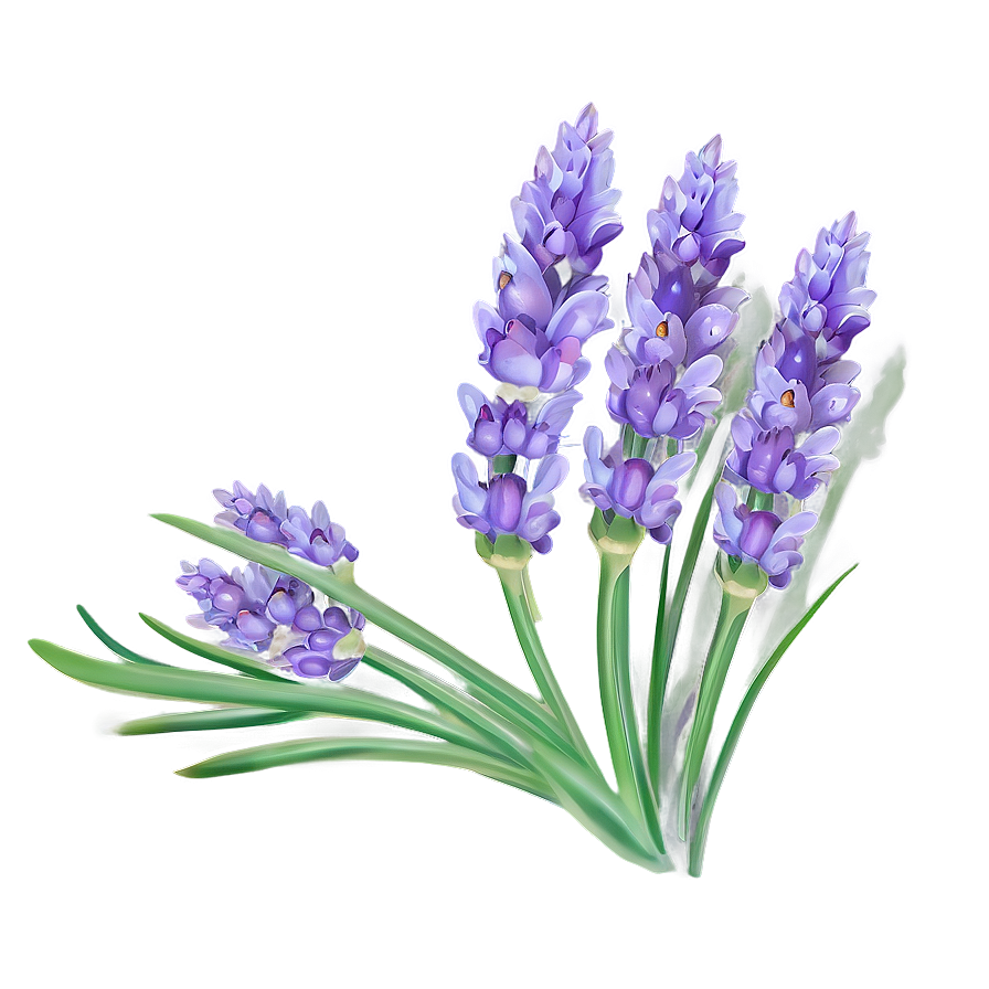 Fairy Tale Lavender Png 3 PNG image