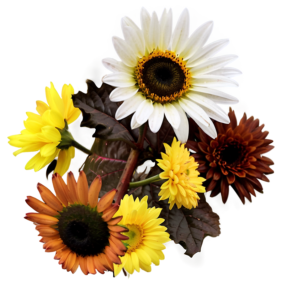 Fall Flowers Png 06272024 PNG image