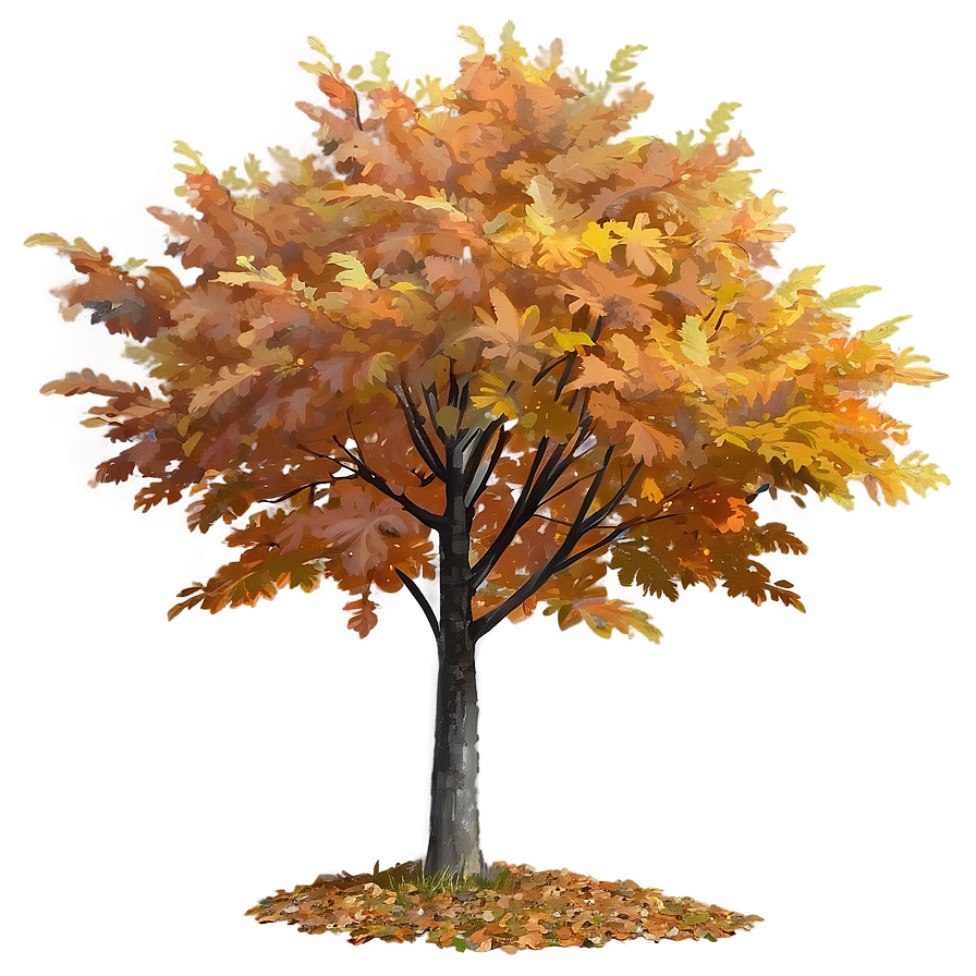 Fall Trees With Fog Png 06212024 PNG image