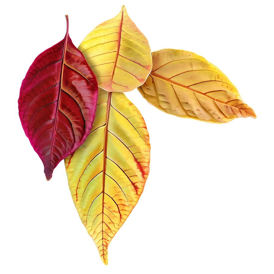 Fallen Autumn Leaves Png 7 PNG image