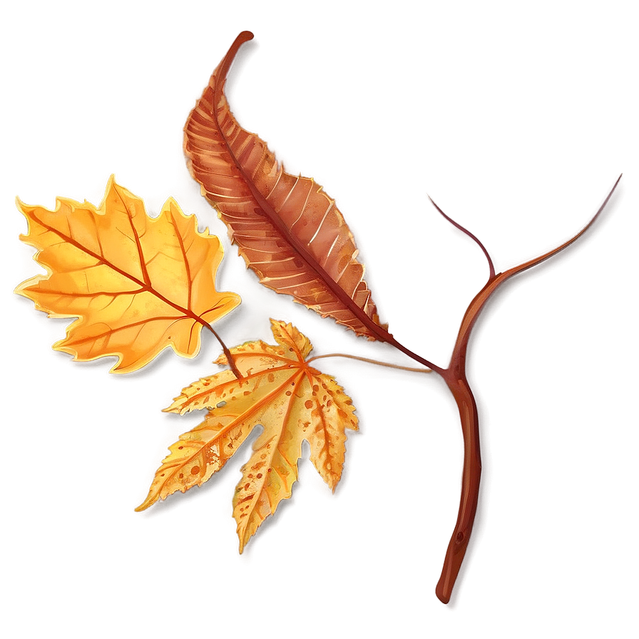 Fallen Leaves Clipart Collection Png Mdm PNG image