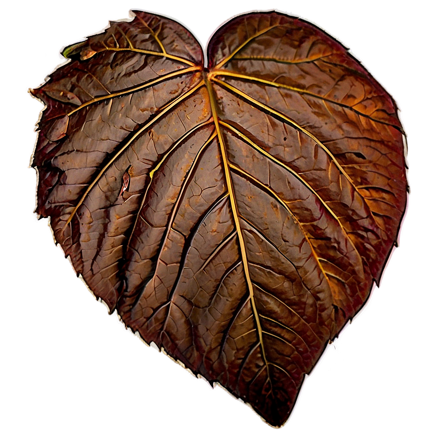 Fallen Leaves Png Tfe15 PNG image