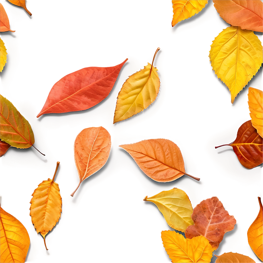 Fallen Leaves Underfoot Png Ffw47 PNG image