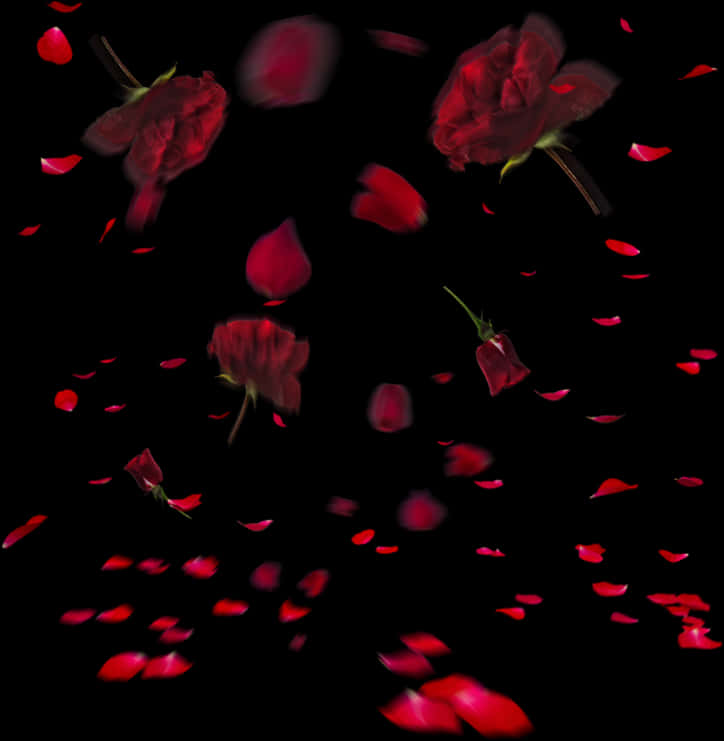 Falling Red Rose Petalsand Blooms PNG image