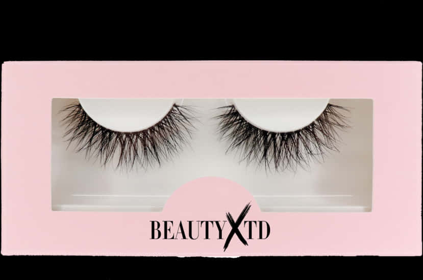 False Eyelashes Packaging Beauty X T D PNG image