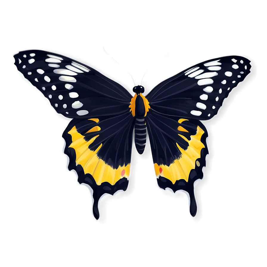 Fancy Black Butterfly Png 38 PNG image