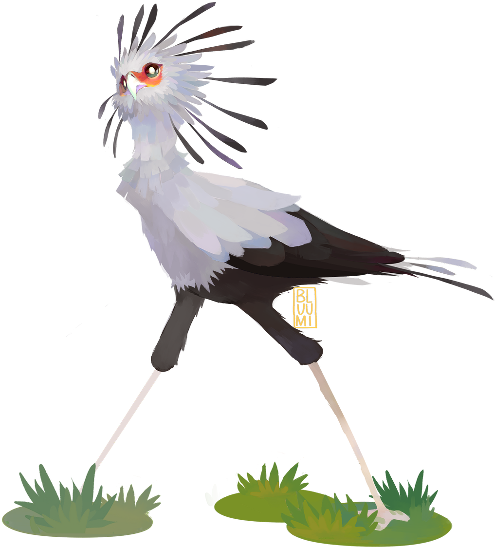 Fantastical Secretary Bird Illustration PNG image