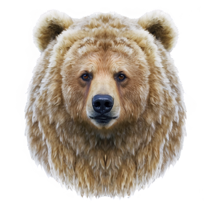 Fantasy Bear Face Png 06292024 PNG image