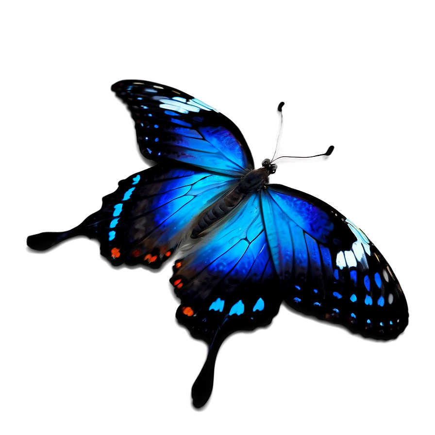 Fantasy Blue Butterfly Png 83 PNG image