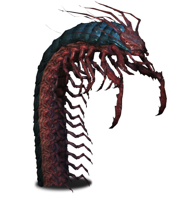 Fantasy Centipede Creature Artwork PNG image