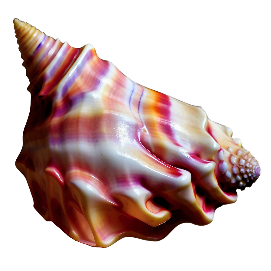 Fantasy Conch Shell Magic Png Bfg28 PNG image