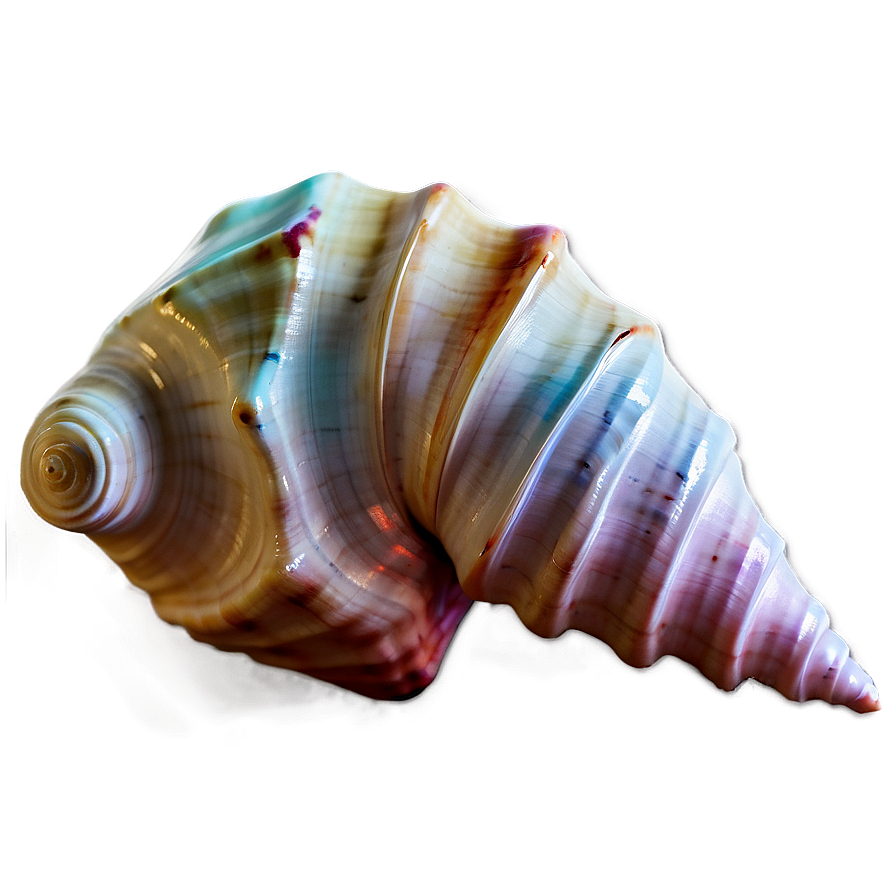 Fantasy Conch Shell Magic Png Lip99 PNG image