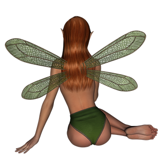 Fantasy_ Fairy_ Back_ View PNG image