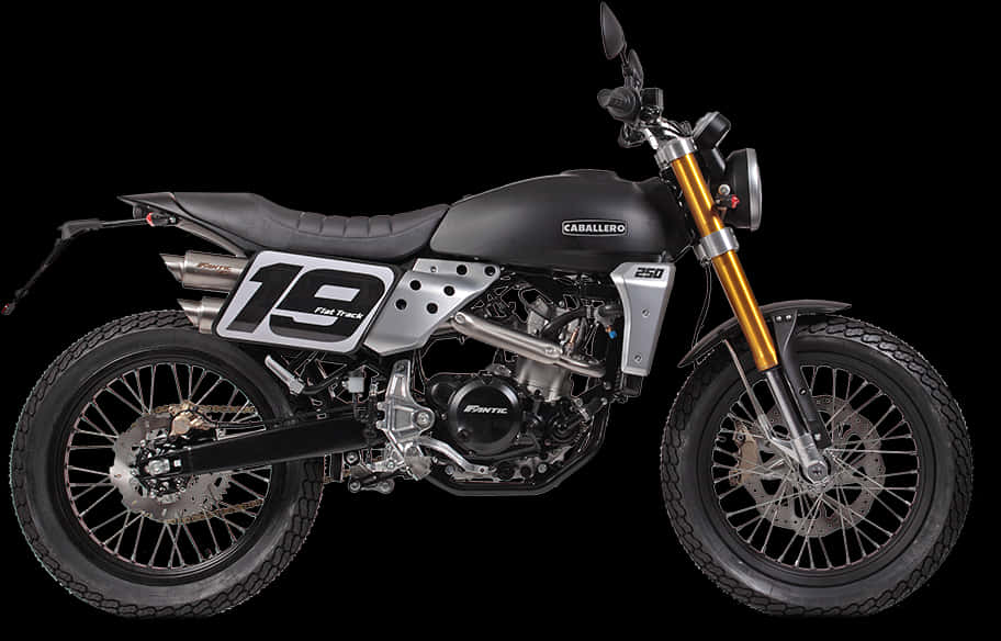 Fantic Caballero Flat Track250 Motorcycle PNG image