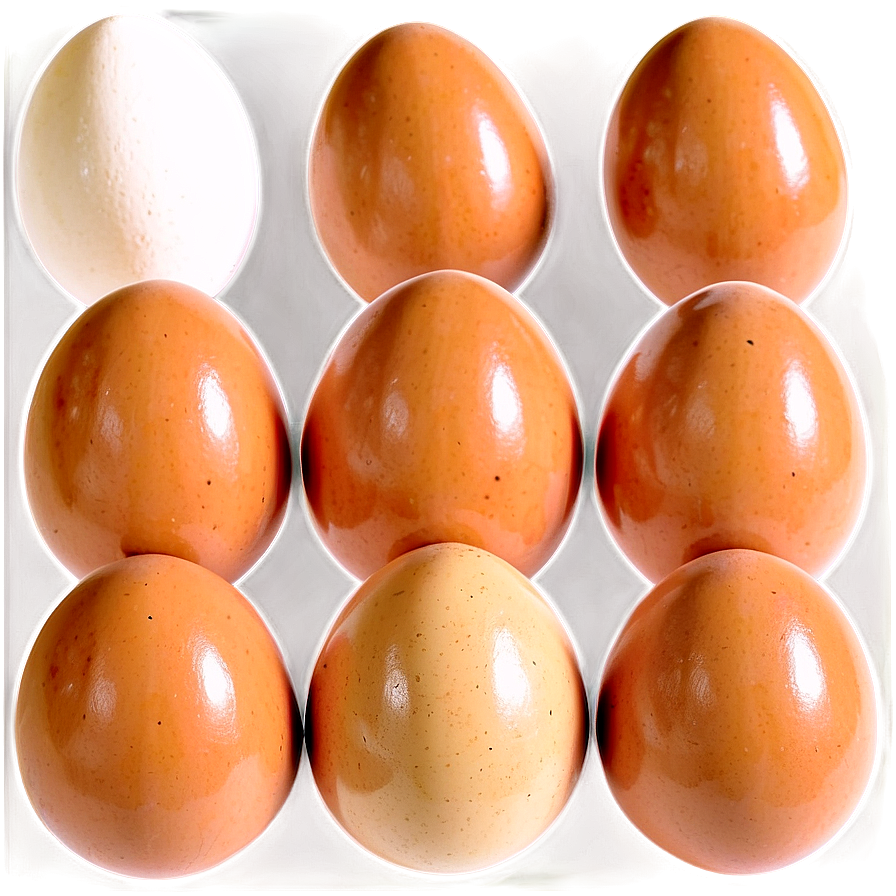 Farm Fresh Eggs Png Qts PNG image