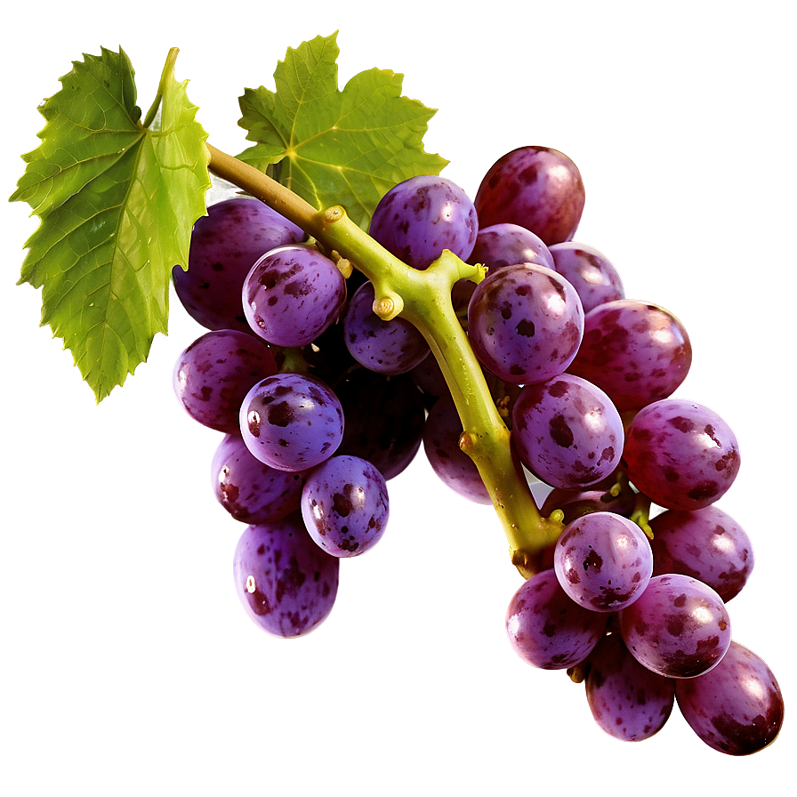 Farm Fresh Grape Png 62 PNG image