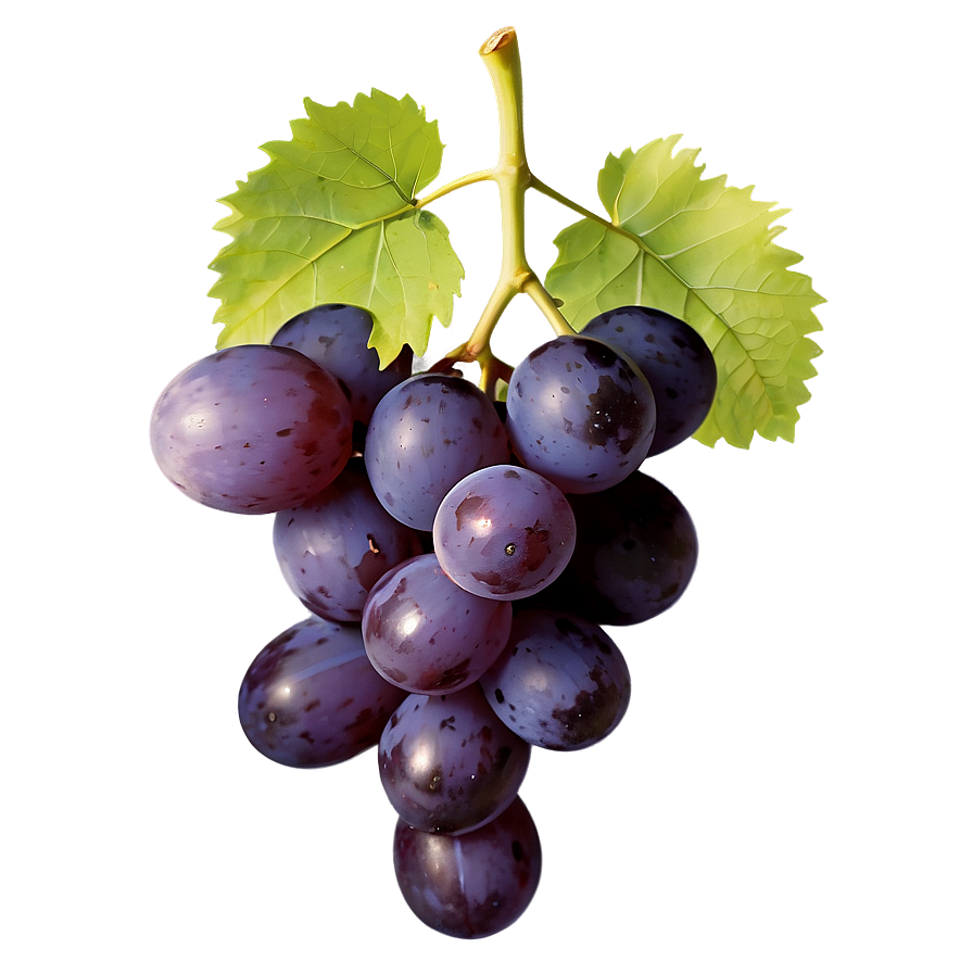 Farm Fresh Grape Png Skf13 PNG image