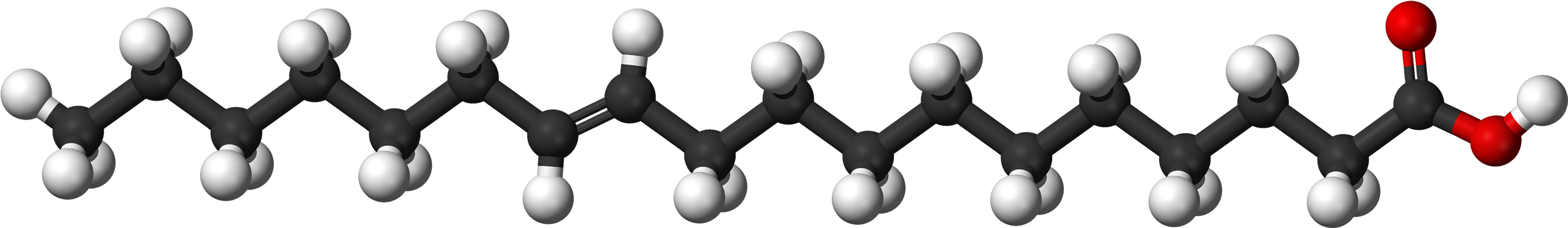 Fatty Acid Molecule Structure PNG image