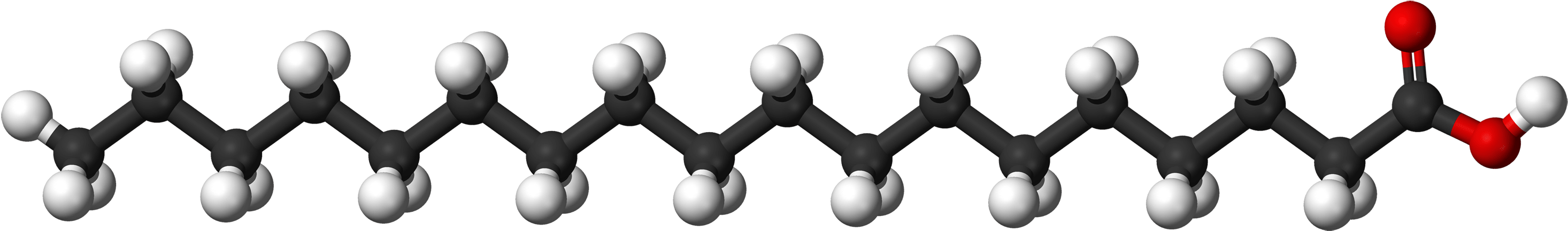 Fatty Acid Molecule Structure PNG image