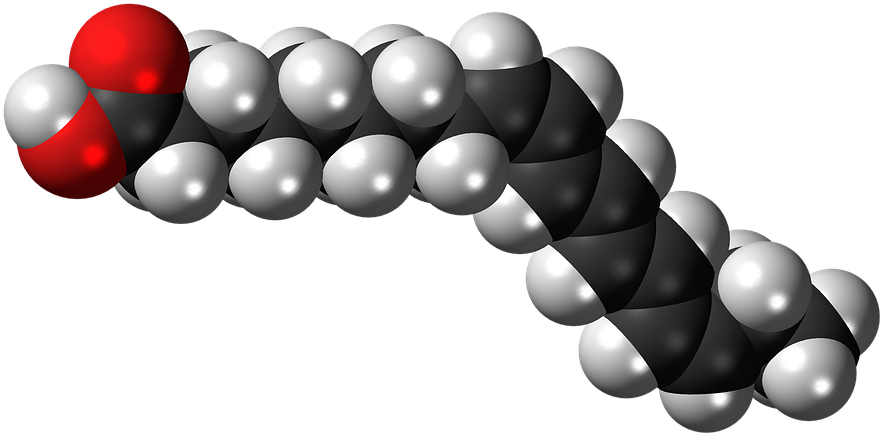 Fatty Acid Molecule3 D Model PNG image