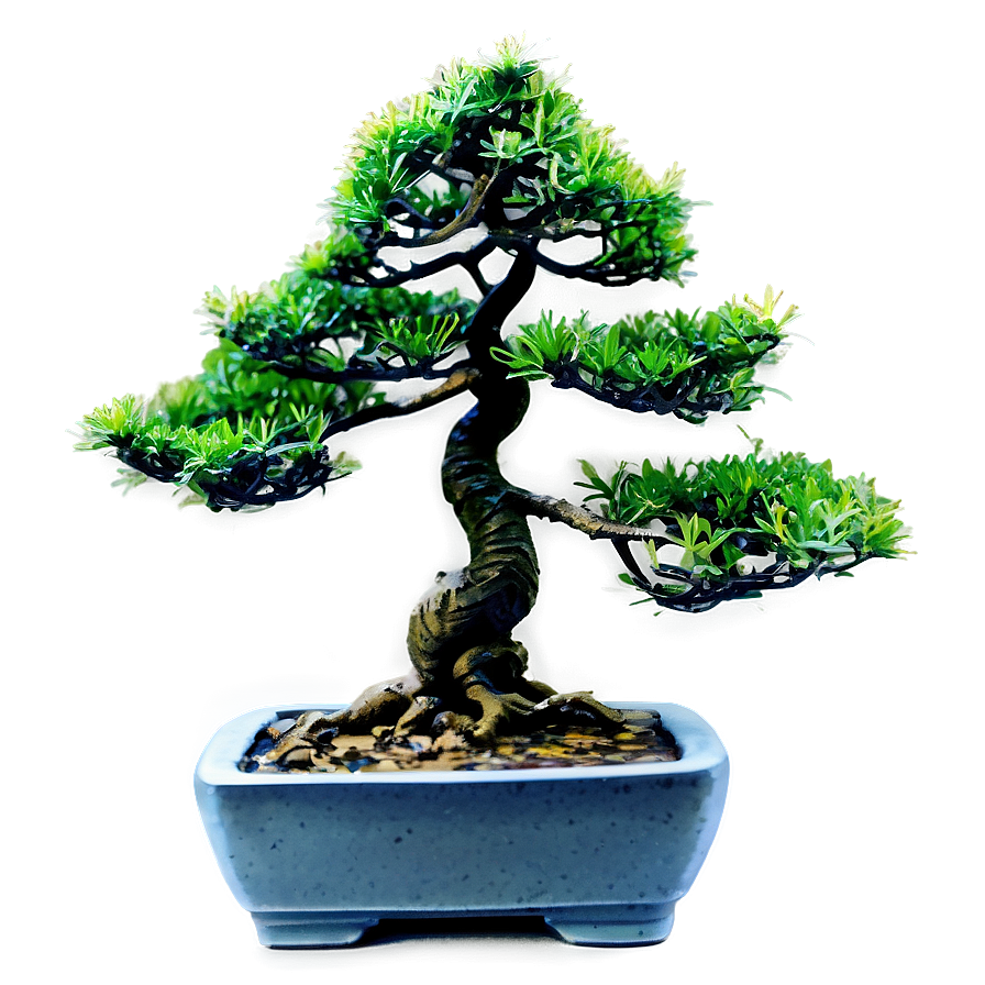 Faux Bonsai Tree Png 77 PNG image