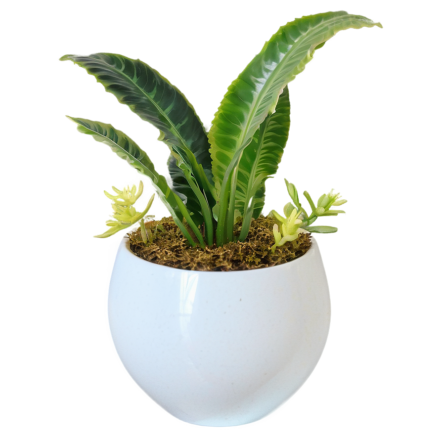 Faux Plant Centerpiece Png 34 PNG image