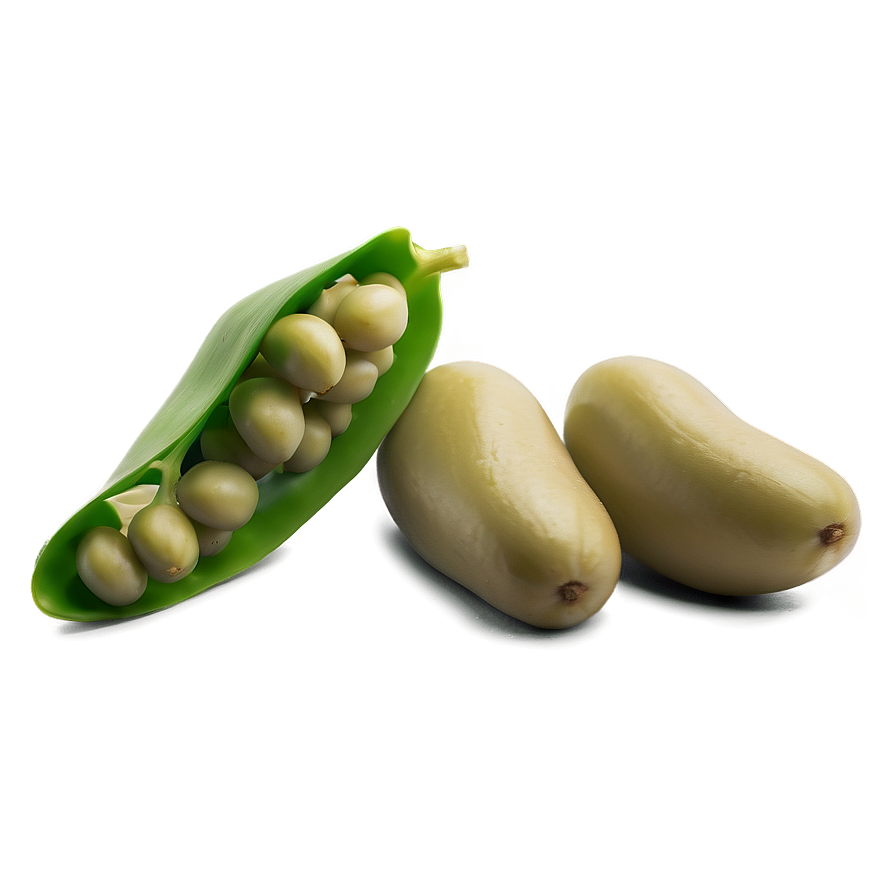 Fava Bean Snack Png 93 PNG image