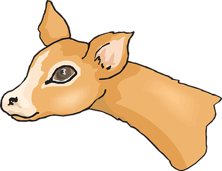 Fawn Head Illustration PNG image
